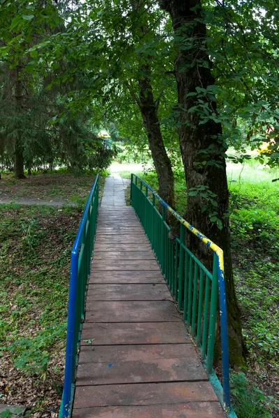 Camping Bosque Con Cabañas Madera Para Turistas —  Fotos de Stock