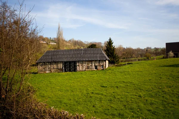 Prato Verde Vicino Una Casa Con Una Recinzione Primavera — Foto Stock