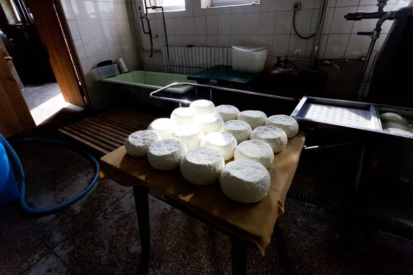 Suluguni peyniri ve feta peyniri süt ürünlerinin bodrumunda raflarda saklanır.