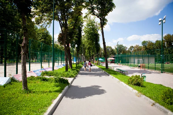 Allées Sentiers Parc Avec Grands Arbres Verts Par Une Journée — Photo