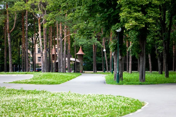 Steegjes Paden Van Het Park Met Hoge Groene Bomen Een — Stockfoto