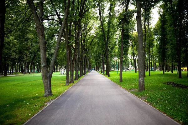 Becos Caminhos Parque Com Árvores Verdes Altas Dia Ensolarado Longo — Fotografia de Stock
