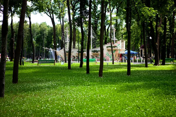 Güneşli bir günde insanların yürüdüğü uzun yeşil ağaçların olduğu parkın sokakları ve yolları.
