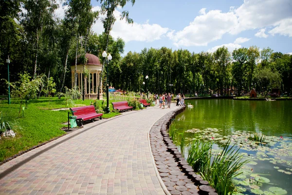 Callejuelas Senderos Del Parque Con Altos Árboles Verdes Día Soleado — Foto de Stock