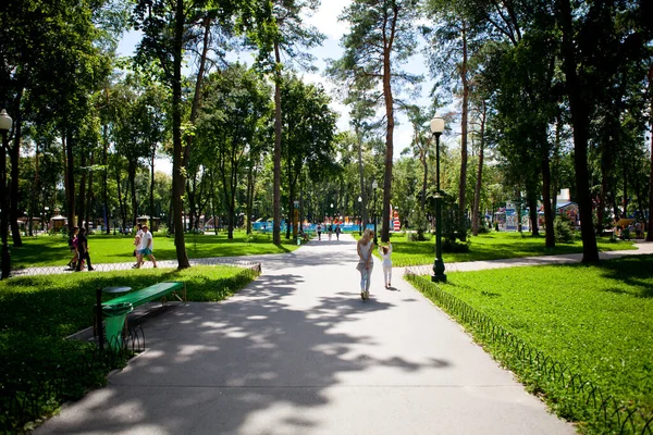 Callejuelas Senderos Del Parque Con Altos Árboles Verdes Día Soleado — Foto de Stock