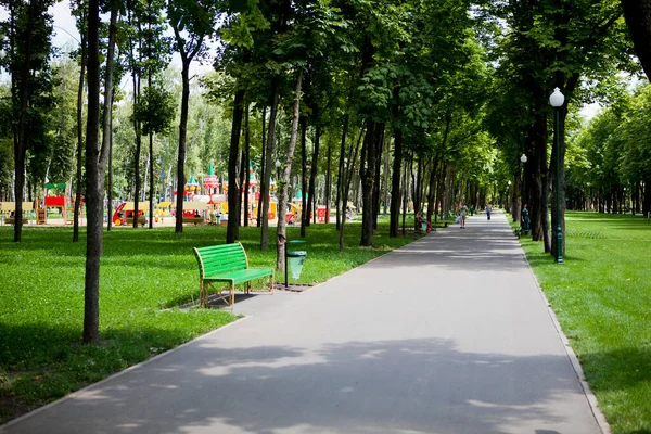 Callejuelas Senderos Del Parque Con Altos Árboles Verdes Día Soleado — Foto de Stock