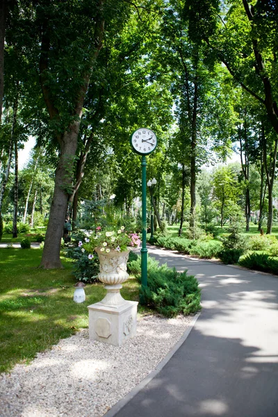 Steegjes Paden Van Het Park Met Hoge Groene Bomen Een — Stockfoto