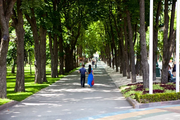 Güneşli Bir Günde Insanların Yürüdüğü Uzun Yeşil Ağaçların Olduğu Parkın — Stok fotoğraf