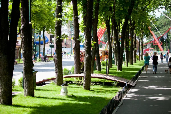 晴れた日には高い緑の木々が立ち並ぶ公園の路地や道を歩く人々 — ストック写真