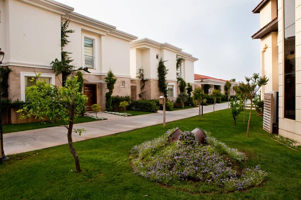 Etrafı egzotik bitkilerle çevrili otel arkadaşları.