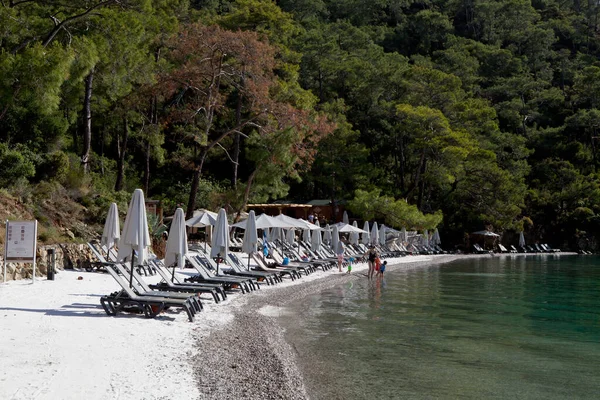 Deniz kenarındaki kumsalda güneşli şezlonglar ve güneşlikler