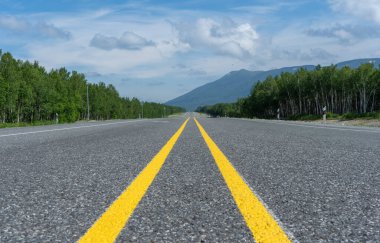 Yolun kenarında sarı bir çift çizgili yol işareti var.
