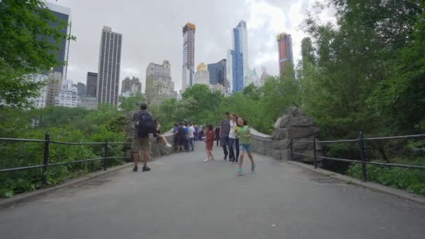 Nowy Jork Usa Może 2018 Wideo Central Parku Nowym Jorku — Wideo stockowe