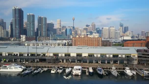 Video Aéreo Darling Harbour Sydney — Vídeo de stock