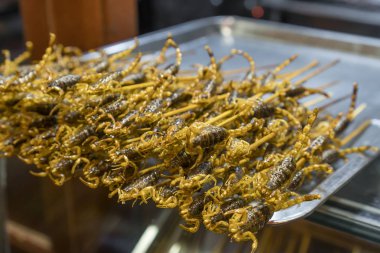 Fried akrep Satılık gıda durak Çin'de