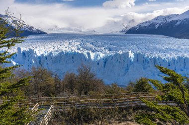 Arjantin 'de perito moreno buzulu