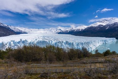 Arjantin 'de perito moreno buzulu
