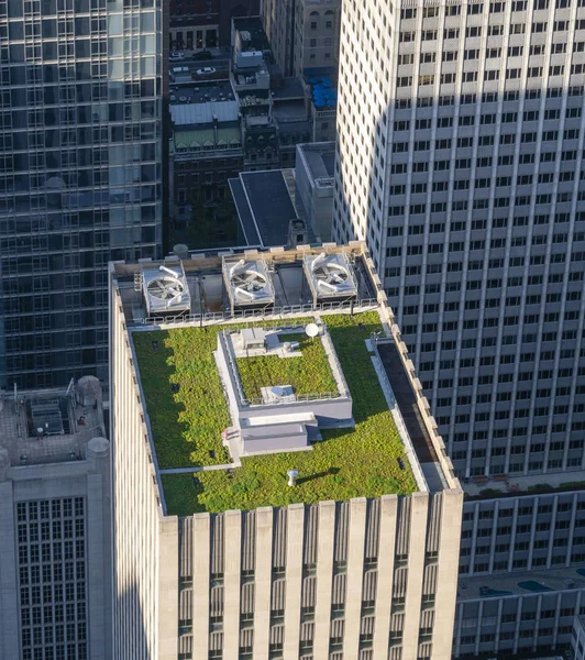 2018年5月22日 纽约市摩天大楼的绿色屋顶 这是一个覆盖着植被的屋顶 旨在提供环境效益 — 图库照片