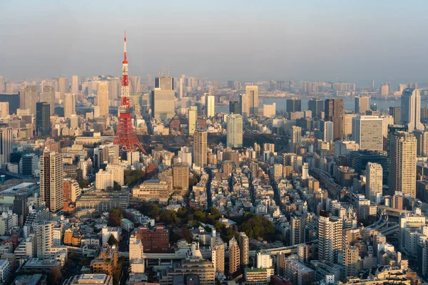 View of Tokyo Tower and surrounding areas at sunset — Stock Photo, Image