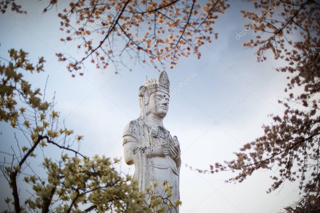 Guanyin with Sakura, Chinese Buddhism, The Goddess of Compassion at Funaoka Park - Shibata, Japan