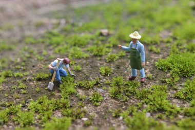 Bir ağaç dikme, minyatür rakam genç adam bahçede çalışırken kürekle ağaç dikme