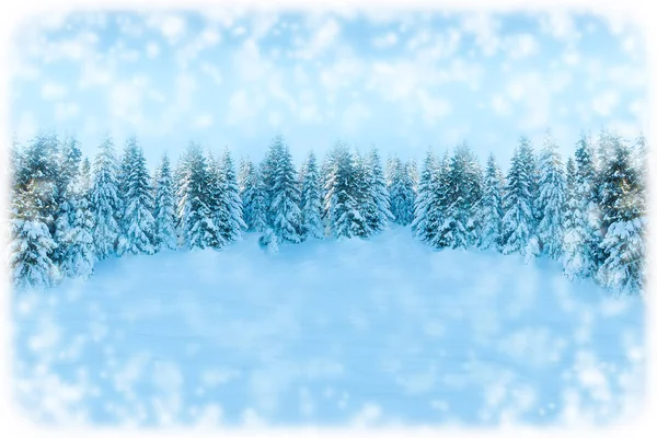 白色圣诞贺卡背景 降雪森林景观与复制空间 冬天的风景 冷杉树被雪覆盖 柔和的色调 — 图库照片