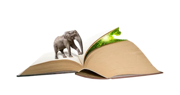大象走在书页上隐藏的自然 创新教育生态理念 魔术操纵背景 爱情读 知识符号 预订日 — 图库照片