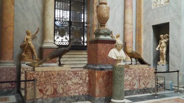 ローマ イタリア 2018 バスト教皇ピウス Braccio Nuovo バチカン博物館で つの青銅クジャク — ストック動画