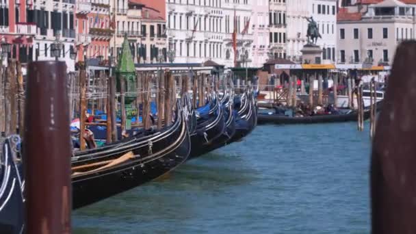 ヴェネツィアのサン マルコ広場近くの桟橋でヴェネツィア イタリア 2018 ゴンドラ — ストック動画