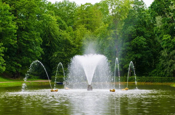 Bir havuzda güzel çeşme.
