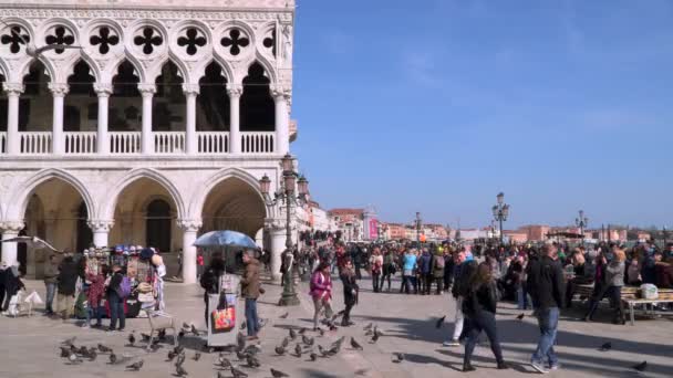 View to Riva degli Schiavoni waterfront with tourists — Stock Video