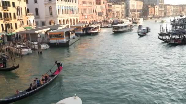 Canal Grande i Venedig. Vattentransport — Stockvideo