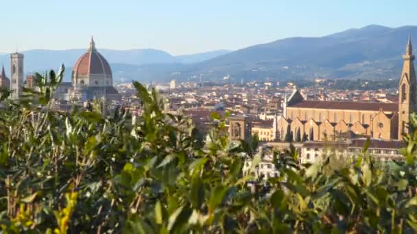 Floransa Katedrali, resmen Cattedrale di Santa Maria del Fiore — Stok video
