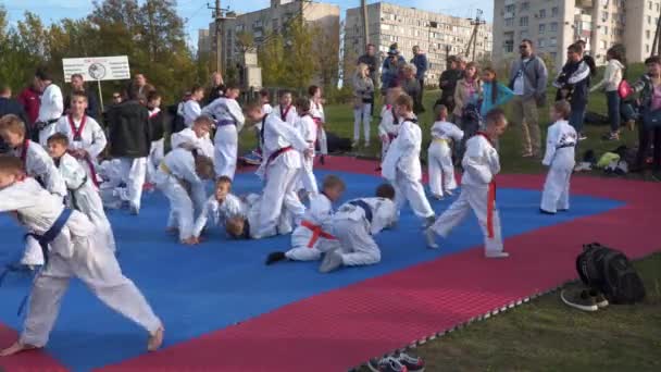 Anak-anak berlatih di udara terbuka. Taekwondo — Stok Video