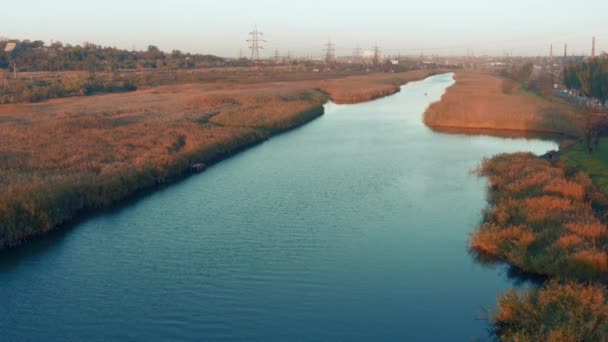 Εναέρια Βίντεο Ποτάμι Είναι Κατάφυτη Από Καλαμιές Κοντά Μια Βιομηχανική — Αρχείο Βίντεο