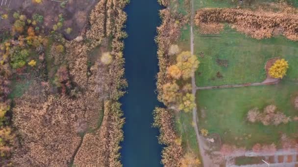 Survoler une petite rivière. Sur les arbres d'automne bergu et les prairies 