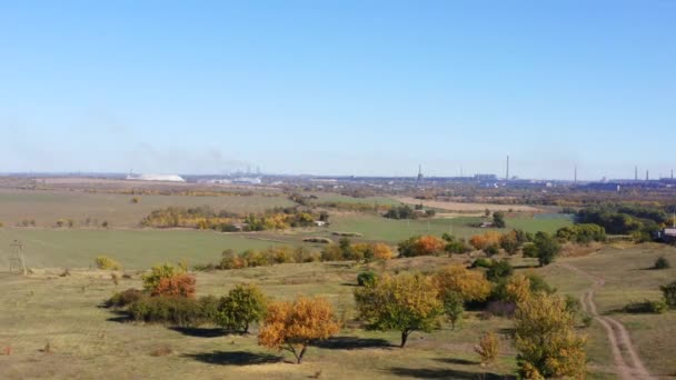 Trees Meadows Fields Fall Horizon Industrial Enterprise Aerial Shooting — Stock Video