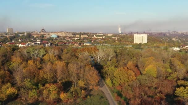 Vogelperspektive Umweltverschmutzung Smog Über Der Stadt Aus Dem Hüttenwerk Herbstliche — Stockvideo