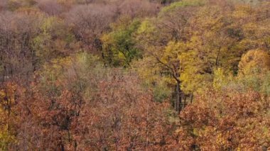 Kuş bakışı. Sonbahar Parkı.