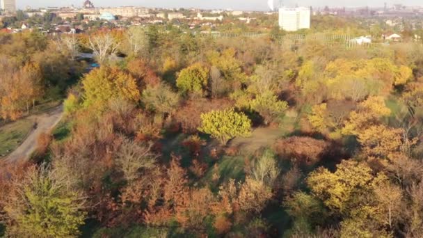 公共の公園で秋の木々 秋の夕暮れ時 鳥の目のビュー — ストック動画