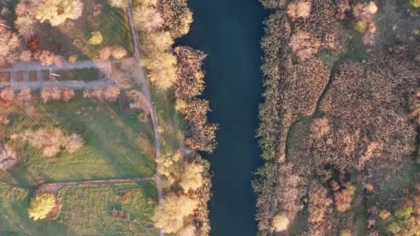 Top View Small River Autumn Time Bird Eye View — Stock Video