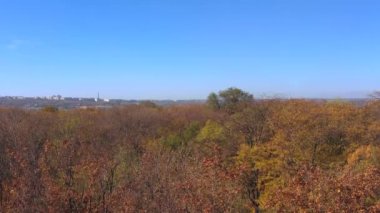 Sonbahar ağaçlar parkta. Havadan görünümü.