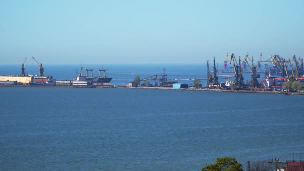 Porto Marítimo Cais Guindastes Portuários Visíveis Navios Descarga — Vídeo de Stock