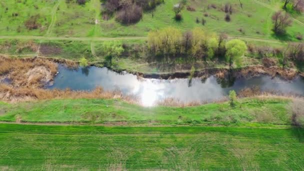 Reflectie Van Zon Wolken Rivier Rivier Ligt Tussen Groene Lente — Stockvideo