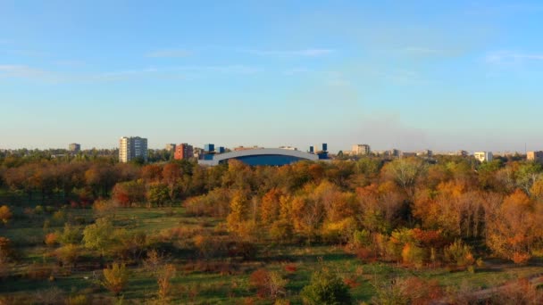 Осінні дерева в місті, освітлені сонцем на заході сонця — стокове відео