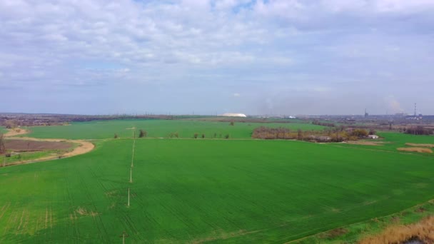 Gröna fjäder fält. Utsikt från luften — Stockvideo