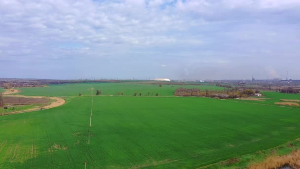 Groene lente velden. Luchtfoto — Stockvideo