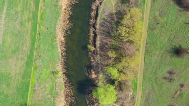 Widok z powietrza na rzekę — Wideo stockowe