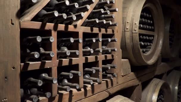 Ancien Vin Cave Vin — Video