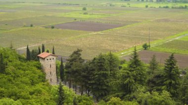 Gürcistan'daki Üzüm Bağları'nın en iyi manzarası. Kuleyi de görebilirsiniz.